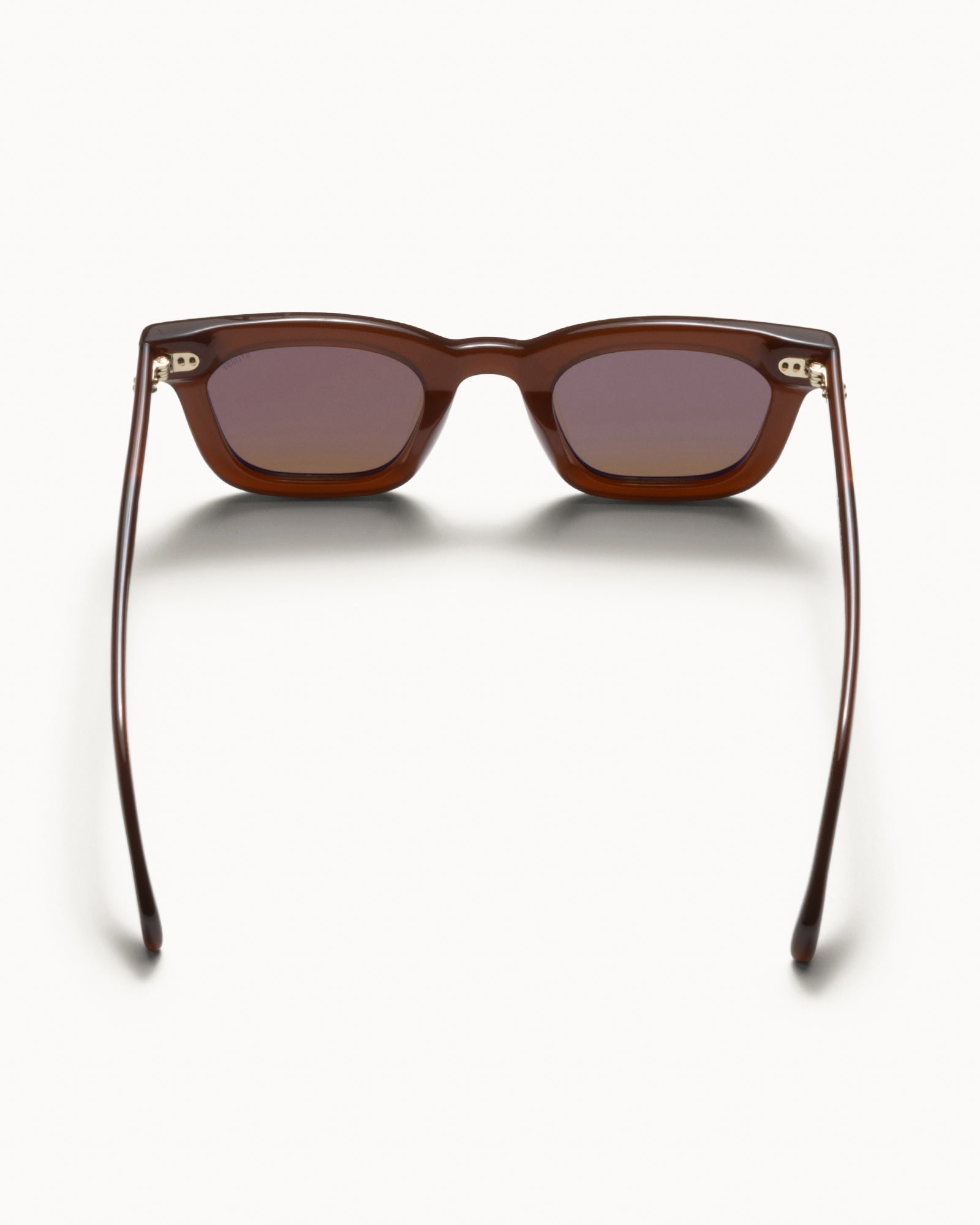 ACE SUNGLASSES